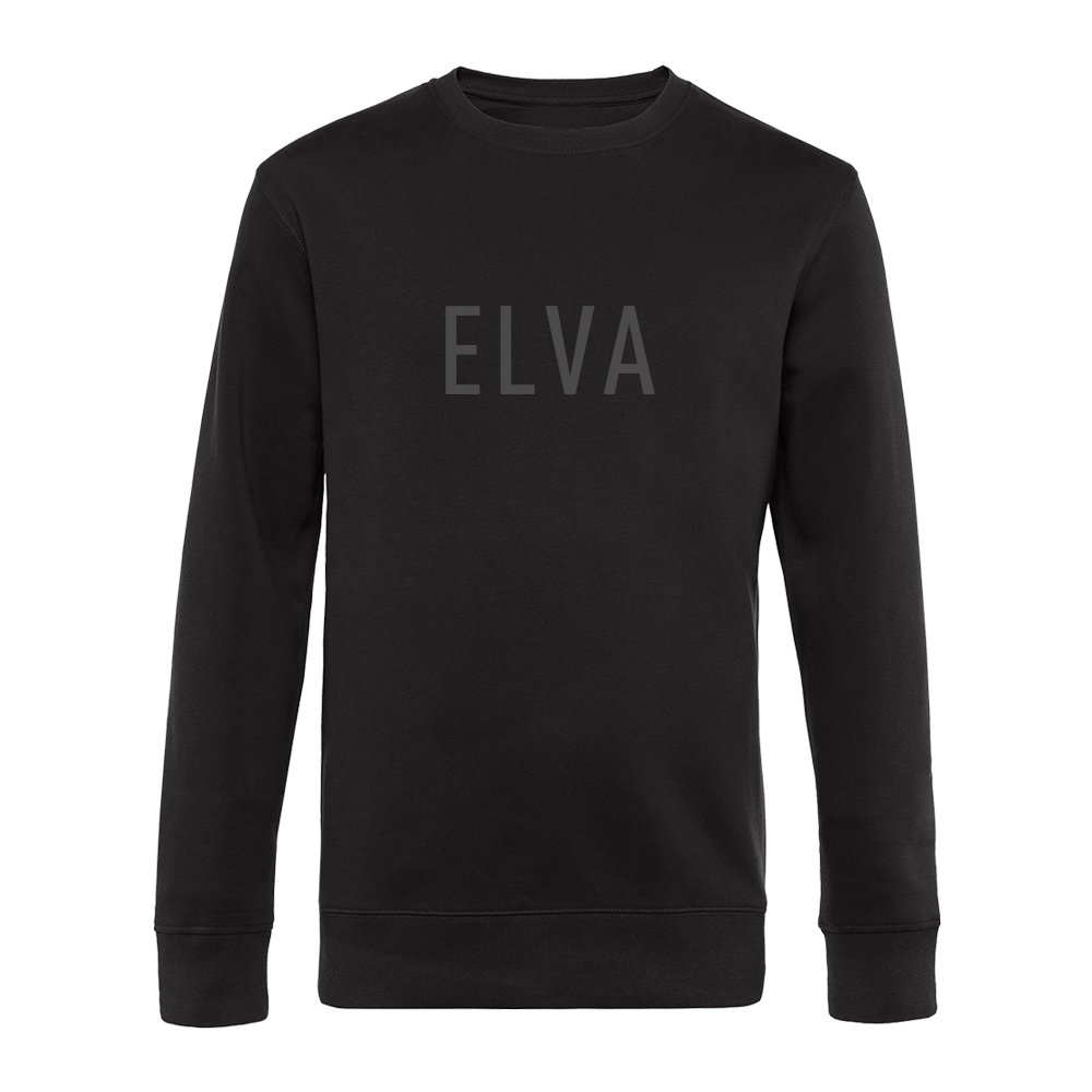 Pusa elva