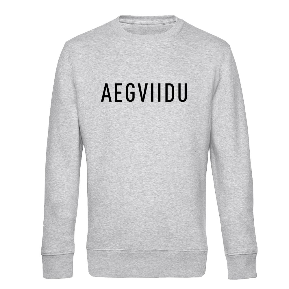 Pusa aegviidu