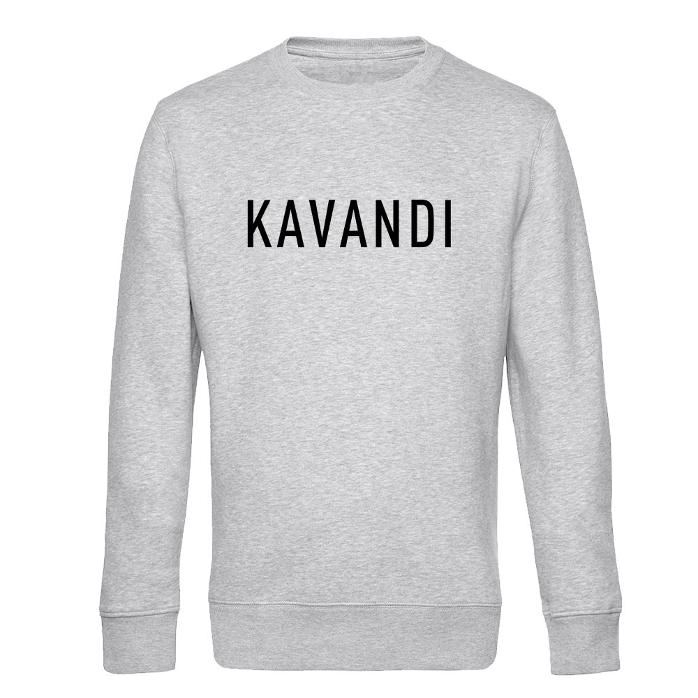 Pusa kavandi