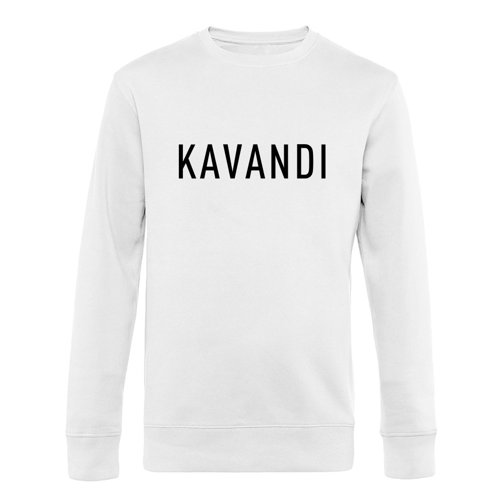 Pusa kavandi